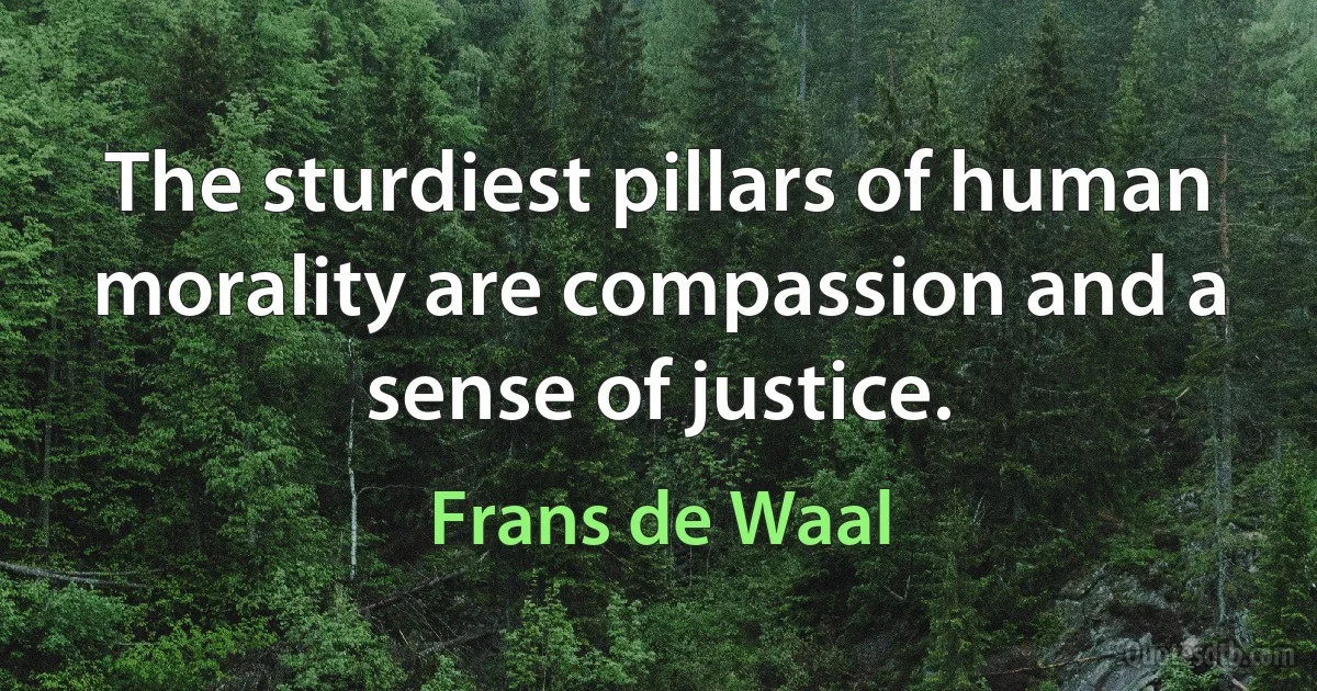 The sturdiest pillars of human morality are compassion and a sense of justice. (Frans de Waal)