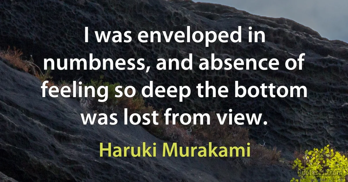 I was enveloped in numbness, and absence of feeling so deep the bottom was lost from view. (Haruki Murakami)