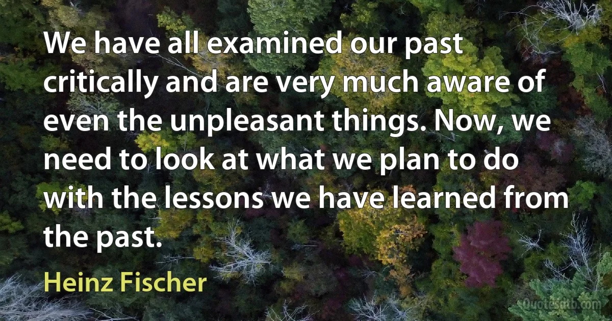 We have all examined our past critically and are very much aware of even the unpleasant things. Now, we need to look at what we plan to do with the lessons we have learned from the past. (Heinz Fischer)