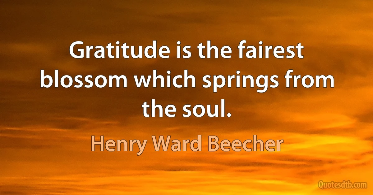 Gratitude is the fairest blossom which springs from the soul. (Henry Ward Beecher)