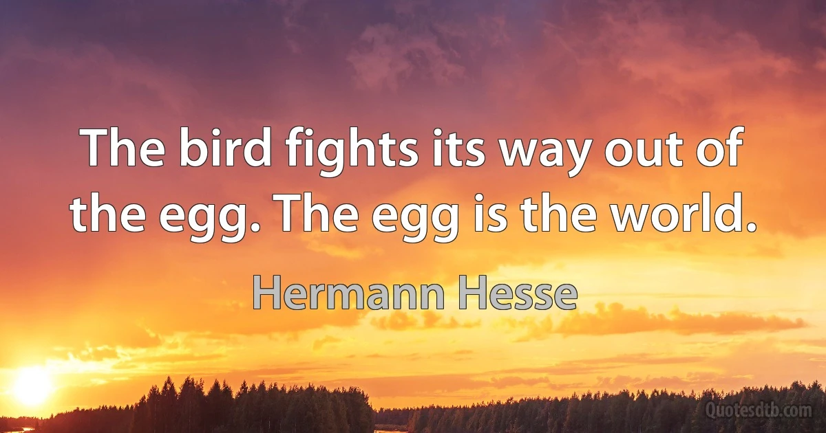 The bird fights its way out of the egg. The egg is the world. (Hermann Hesse)