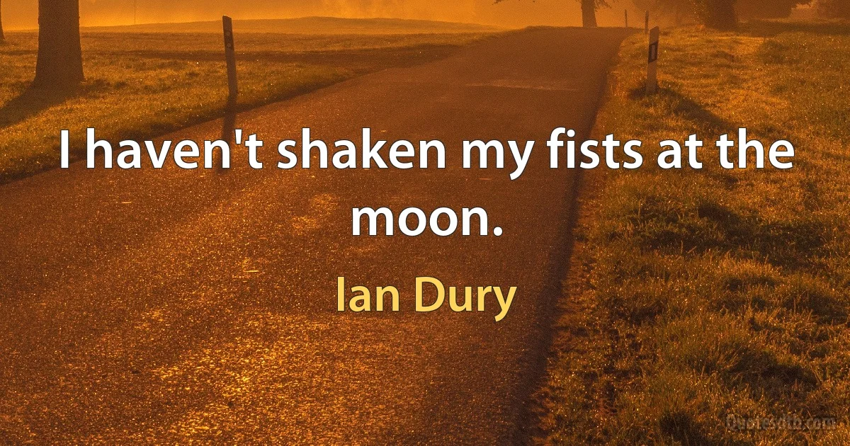 I haven't shaken my fists at the moon. (Ian Dury)