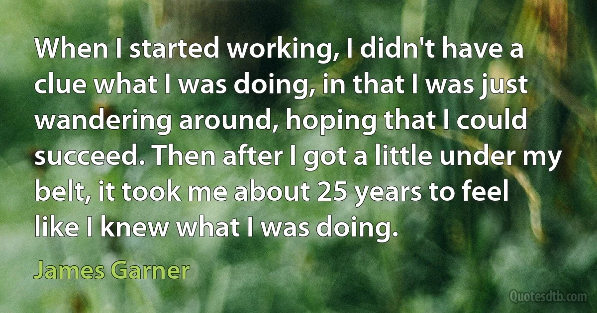 When I started working, I didn't have a clue what I was doing, in that I was just wandering around, hoping that I could succeed. Then after I got a little under my belt, it took me about 25 years to feel like I knew what I was doing. (James Garner)