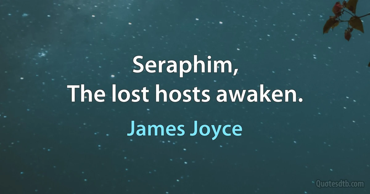 Seraphim,
The lost hosts awaken. (James Joyce)