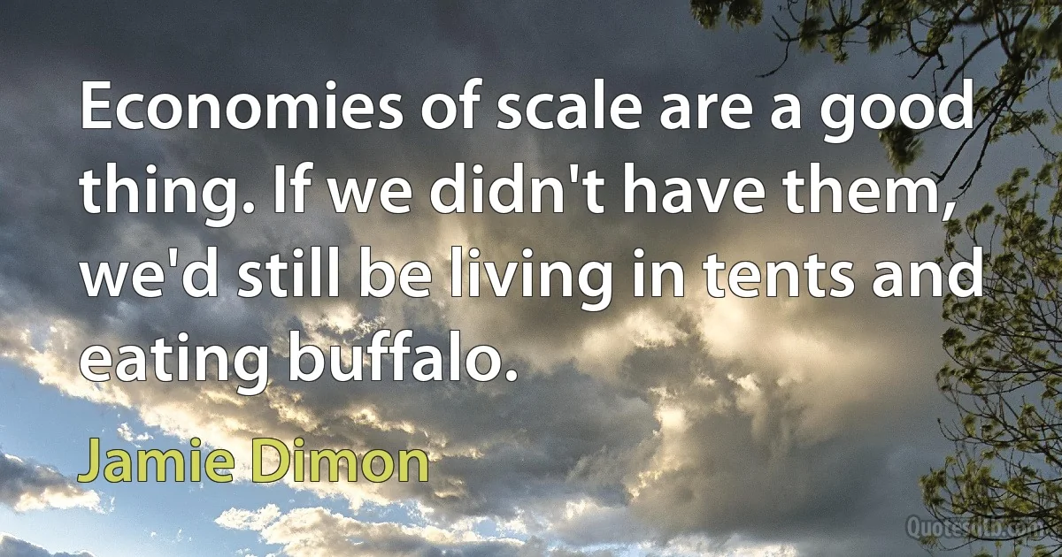 Economies of scale are a good thing. If we didn't have them, we'd still be living in tents and eating buffalo. (Jamie Dimon)