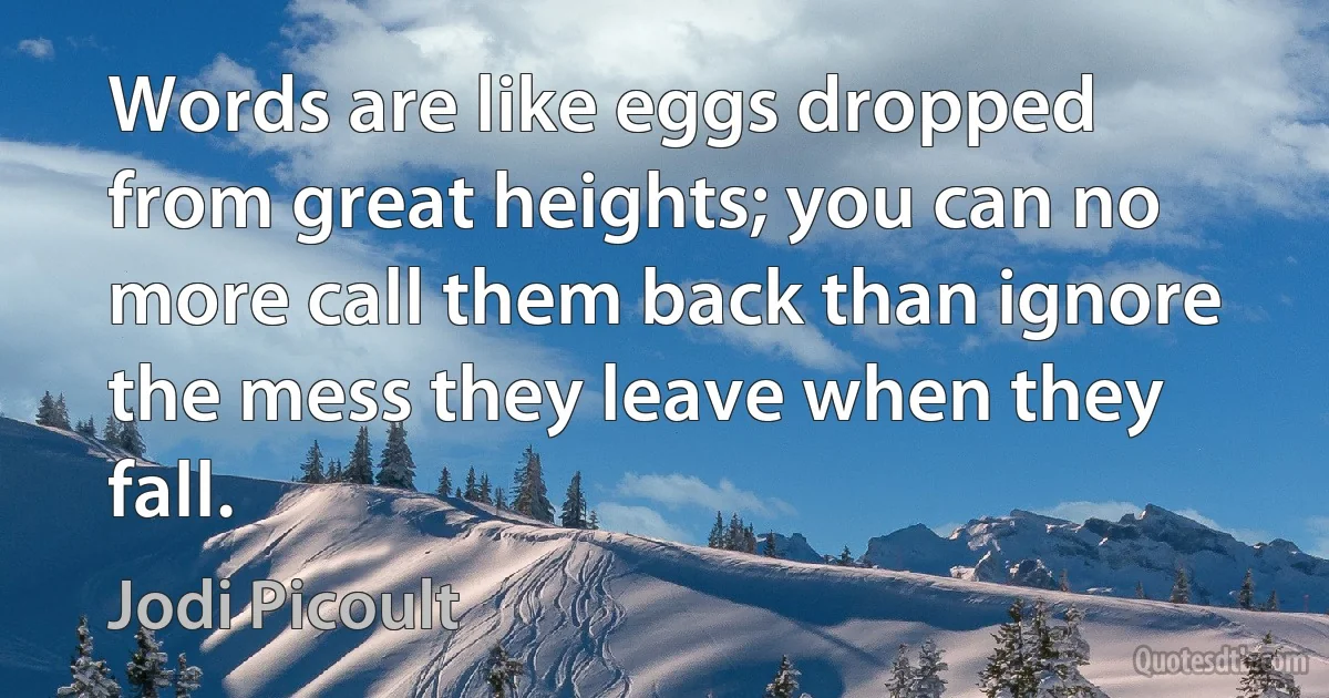 Words are like eggs dropped from great heights; you can no more call them back than ignore the mess they leave when they fall. (Jodi Picoult)