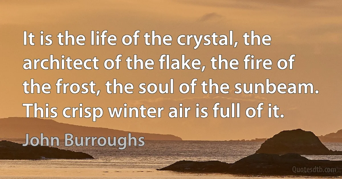 It is the life of the crystal, the architect of the flake, the fire of the frost, the soul of the sunbeam. This crisp winter air is full of it. (John Burroughs)