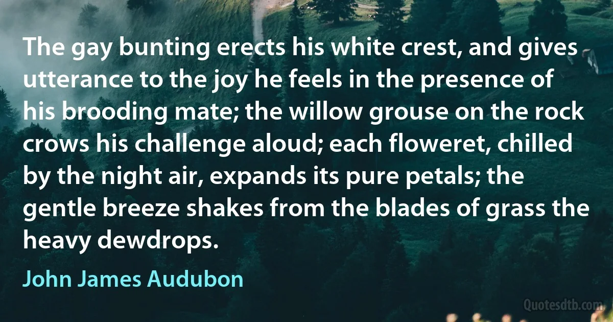 The gay bunting erects his white crest, and gives utterance to the joy he feels in the presence of his brooding mate; the willow grouse on the rock crows his challenge aloud; each floweret, chilled by the night air, expands its pure petals; the gentle breeze shakes from the blades of grass the heavy dewdrops. (John James Audubon)