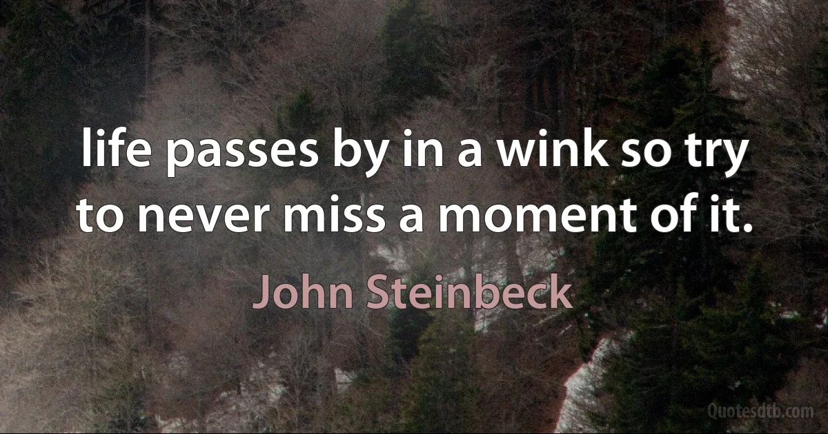 life passes by in a wink so try to never miss a moment of it. (John Steinbeck)