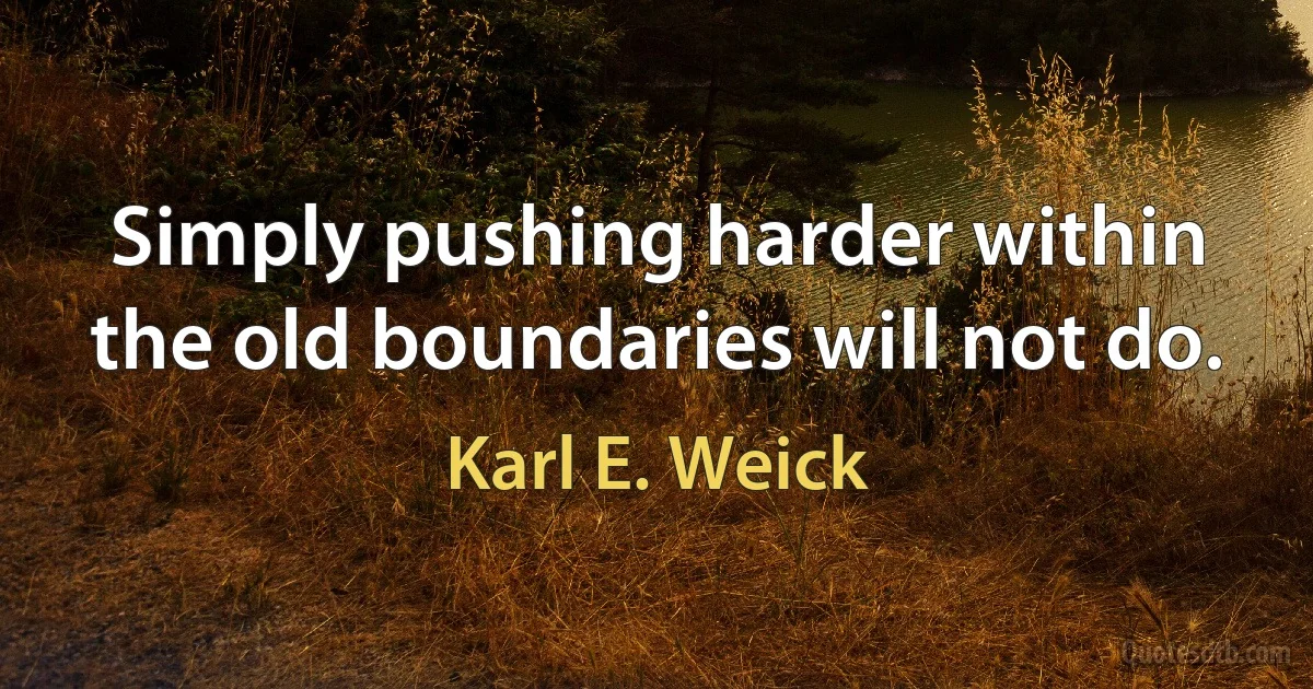 Simply pushing harder within the old boundaries will not do. (Karl E. Weick)