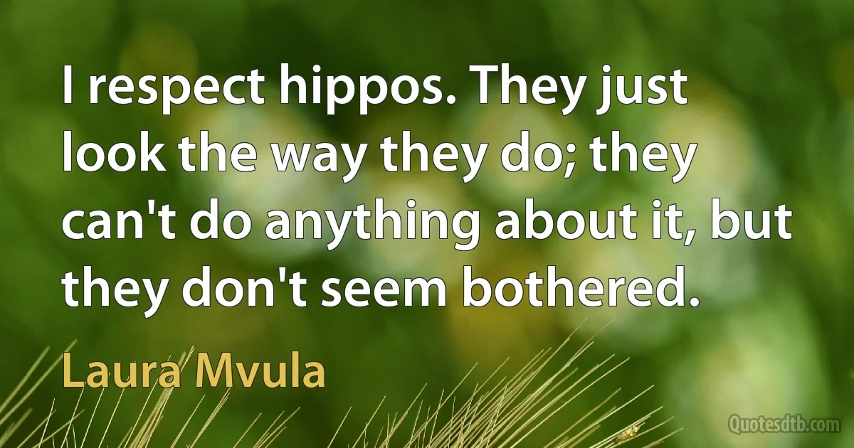 I respect hippos. They just look the way they do; they can't do anything about it, but they don't seem bothered. (Laura Mvula)