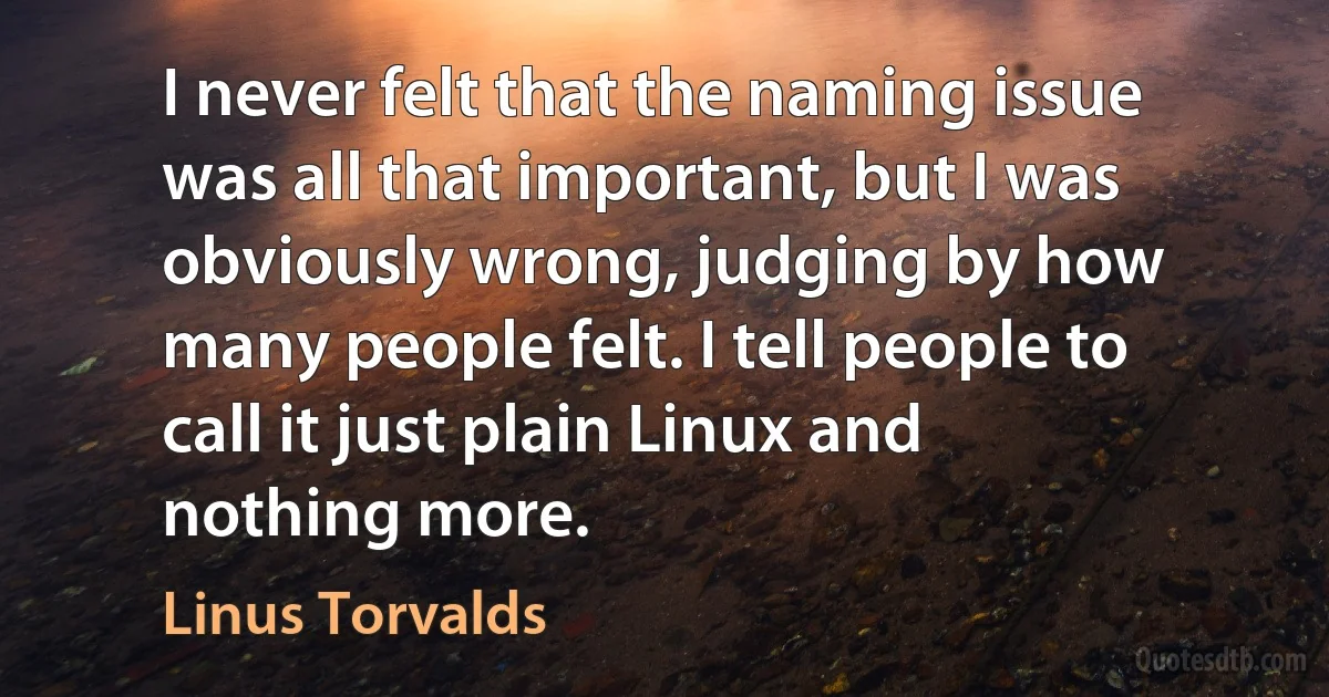 I never felt that the naming issue was all that important, but I was obviously wrong, judging by how many people felt. I tell people to call it just plain Linux and nothing more. (Linus Torvalds)