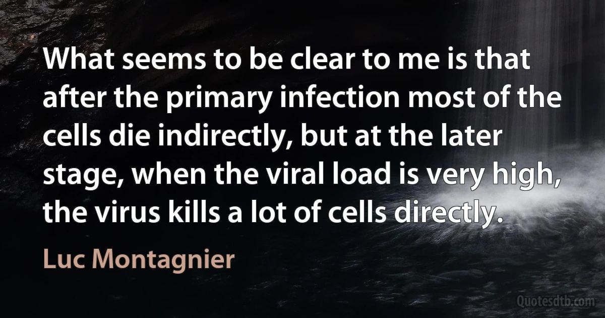 What seems to be clear to me is that after the primary infection most of the cells die indirectly, but at the later stage, when the viral load is very high, the virus kills a lot of cells directly. (Luc Montagnier)