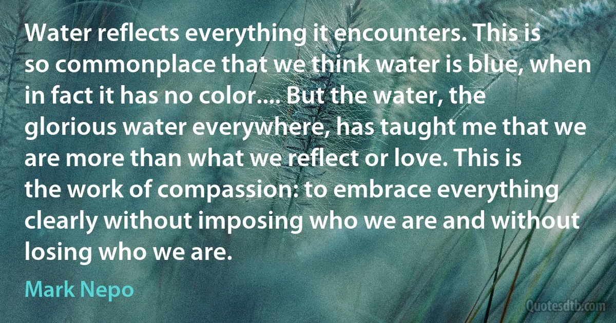 Water reflects everything it encounters. This is so commonplace that we think water is blue, when in fact it has no color.... But the water, the glorious water everywhere, has taught me that we are more than what we reflect or love. This is the work of compassion: to embrace everything clearly without imposing who we are and without losing who we are. (Mark Nepo)