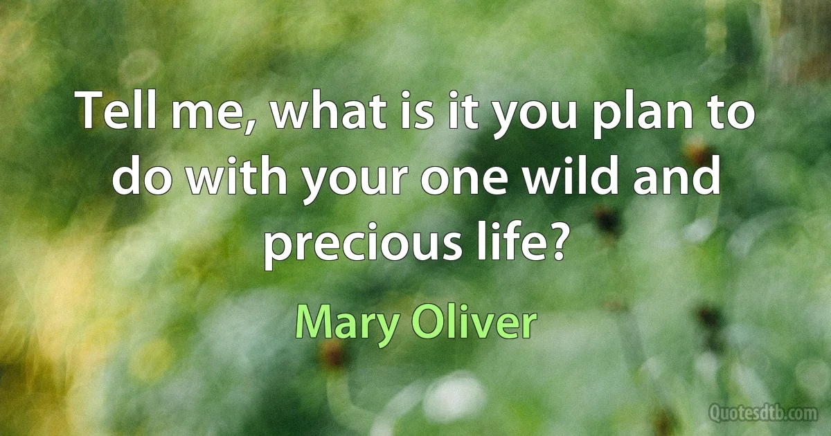 Tell me, what is it you plan to do with your one wild and precious life? (Mary Oliver)