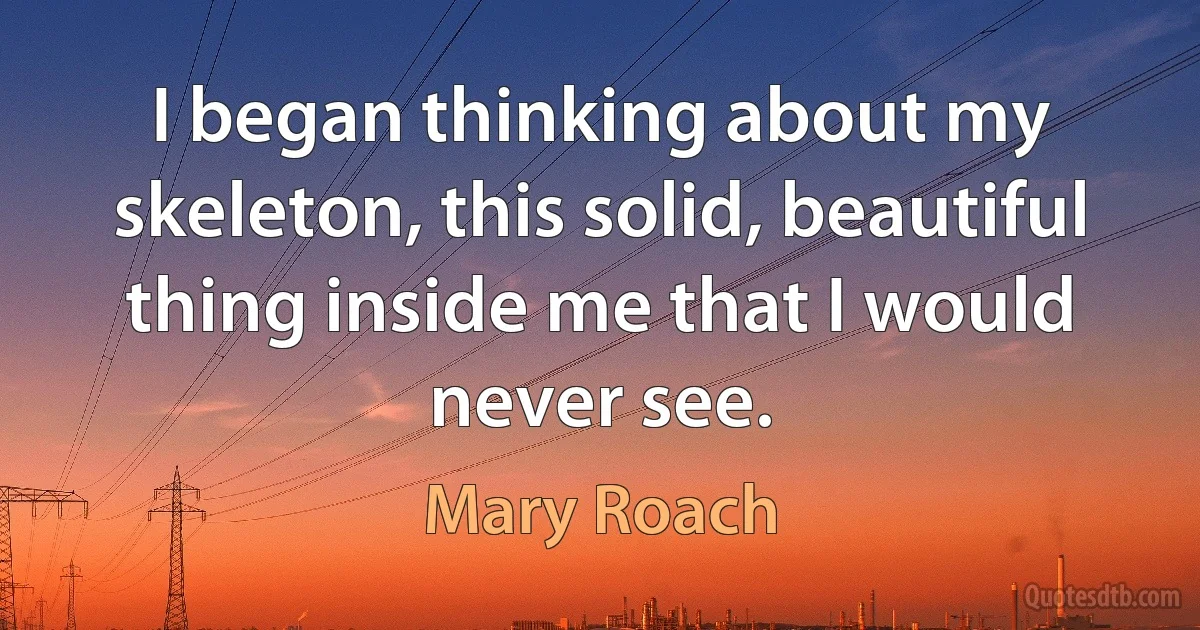 I began thinking about my skeleton, this solid, beautiful thing inside me that I would never see. (Mary Roach)