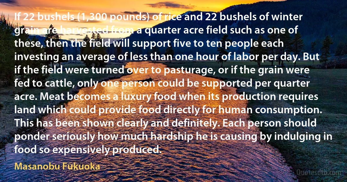 If 22 bushels (1,300 pounds) of rice and 22 bushels of winter grain are harvested from a quarter acre field such as one of these, then the field will support five to ten people each investing an average of less than one hour of labor per day. But if the field were turned over to pasturage, or if the grain were fed to cattle, only one person could be supported per quarter acre. Meat becomes a luxury food when its production requires land which could provide food directly for human consumption. This has been shown clearly and definitely. Each person should ponder seriously how much hardship he is causing by indulging in food so expensively produced. (Masanobu Fukuoka)