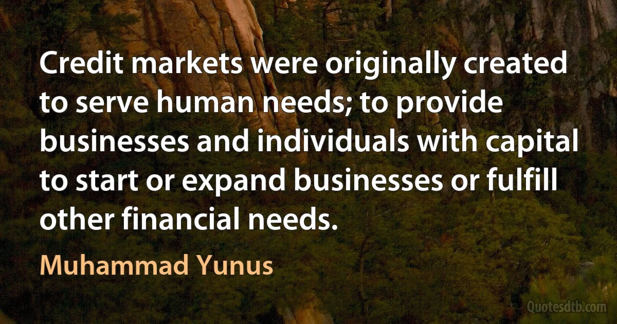 Credit markets were originally created to serve human needs; to provide businesses and individuals with capital to start or expand businesses or fulfill other financial needs. (Muhammad Yunus)