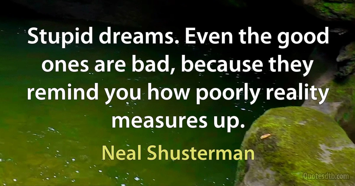 Stupid dreams. Even the good ones are bad, because they remind you how poorly reality measures up. (Neal Shusterman)