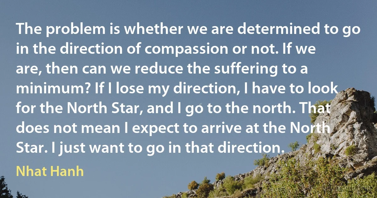 The problem is whether we are determined to go in the direction of compassion or not. If we are, then can we reduce the suffering to a minimum? If I lose my direction, I have to look for the North Star, and I go to the north. That does not mean I expect to arrive at the North Star. I just want to go in that direction. (Nhat Hanh)