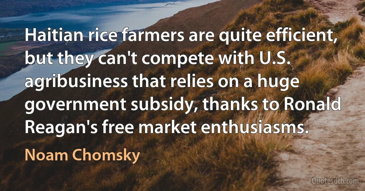 Haitian rice farmers are quite efficient, but they can't compete with U.S. agribusiness that relies on a huge government subsidy, thanks to Ronald Reagan's free market enthusiasms. (Noam Chomsky)