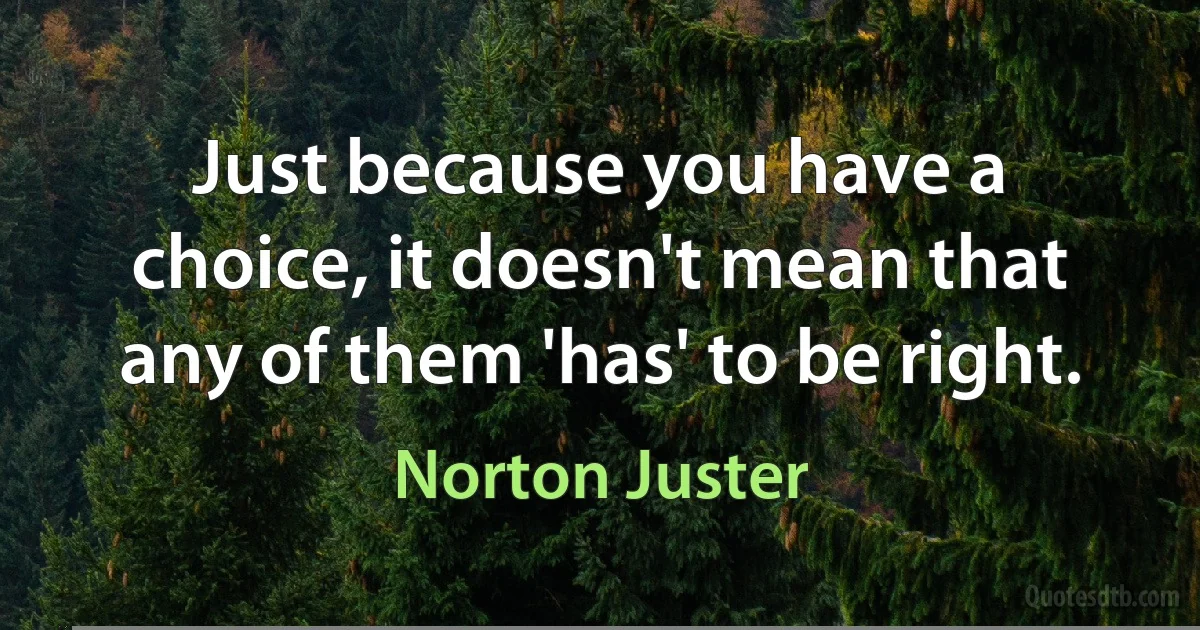 Just because you have a choice, it doesn't mean that any of them 'has' to be right. (Norton Juster)