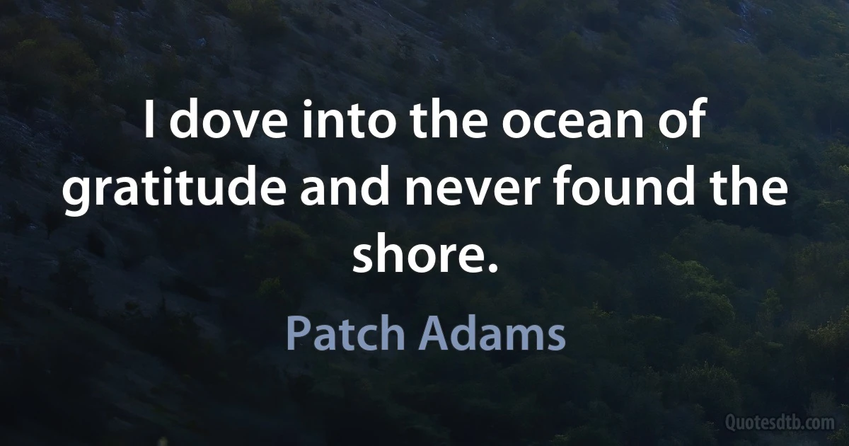 I dove into the ocean of gratitude and never found the shore. (Patch Adams)