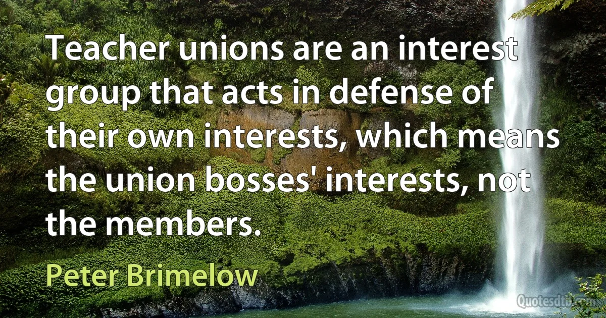 Teacher unions are an interest group that acts in defense of their own interests, which means the union bosses' interests, not the members. (Peter Brimelow)