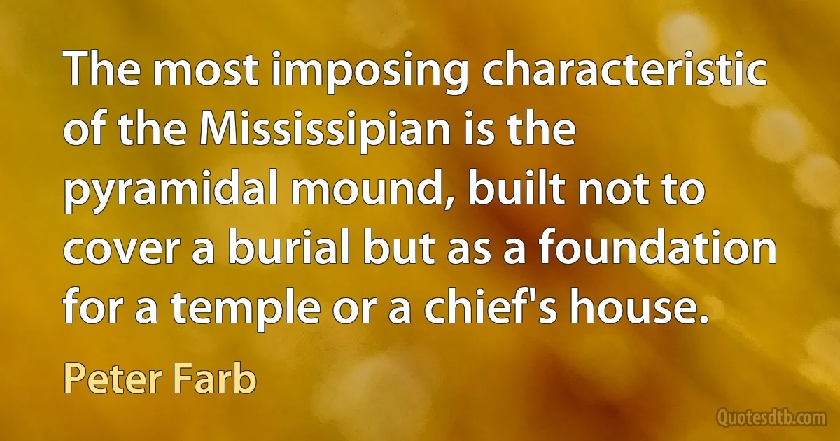 The most imposing characteristic of the Mississipian is the pyramidal mound, built not to cover a burial but as a foundation for a temple or a chief's house. (Peter Farb)