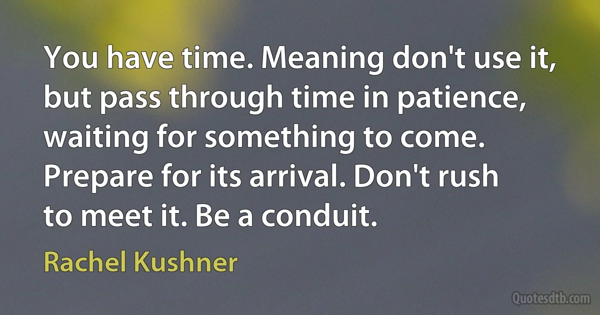 You have time. Meaning don't use it, but pass through time in patience, waiting for something to come. Prepare for its arrival. Don't rush to meet it. Be a conduit. (Rachel Kushner)