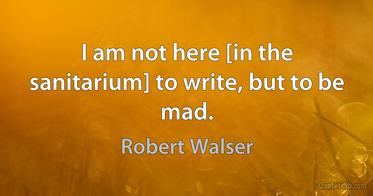 I am not here [in the sanitarium] to write, but to be mad. (Robert Walser)