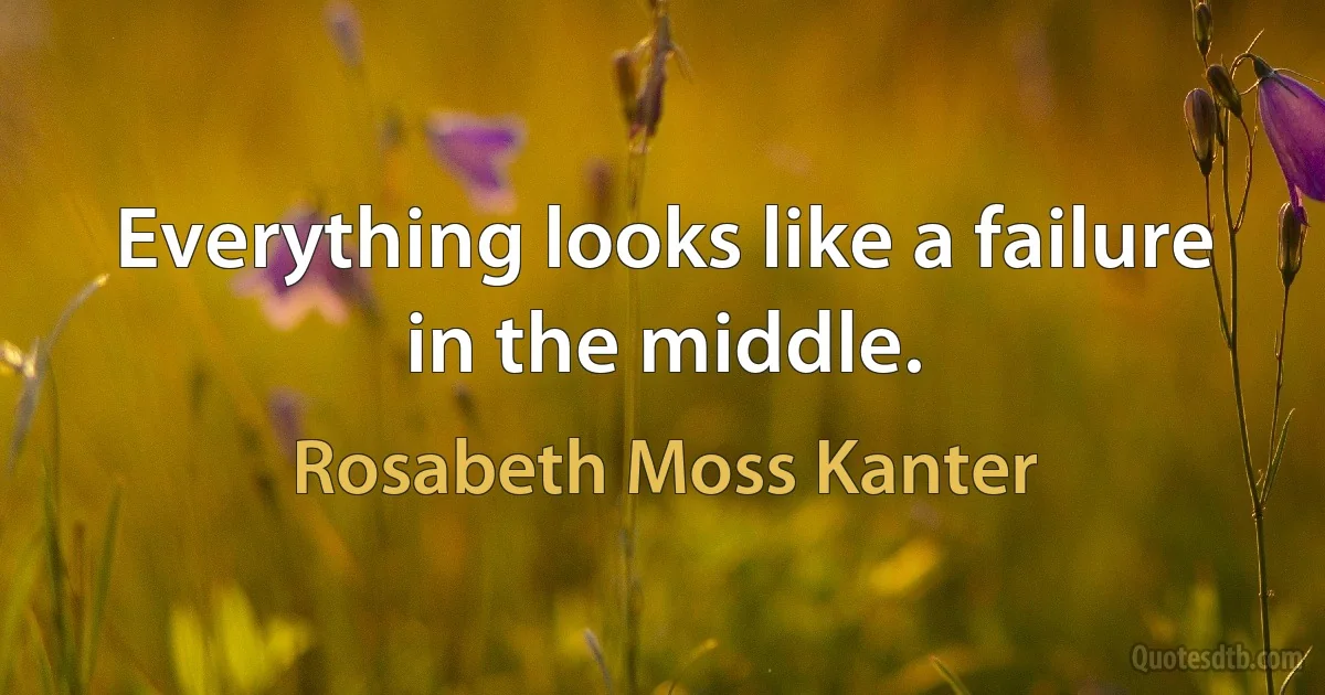 Everything looks like a failure in the middle. (Rosabeth Moss Kanter)