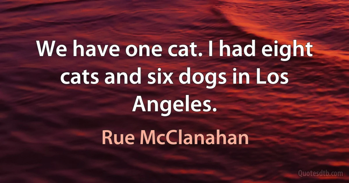 We have one cat. I had eight cats and six dogs in Los Angeles. (Rue McClanahan)