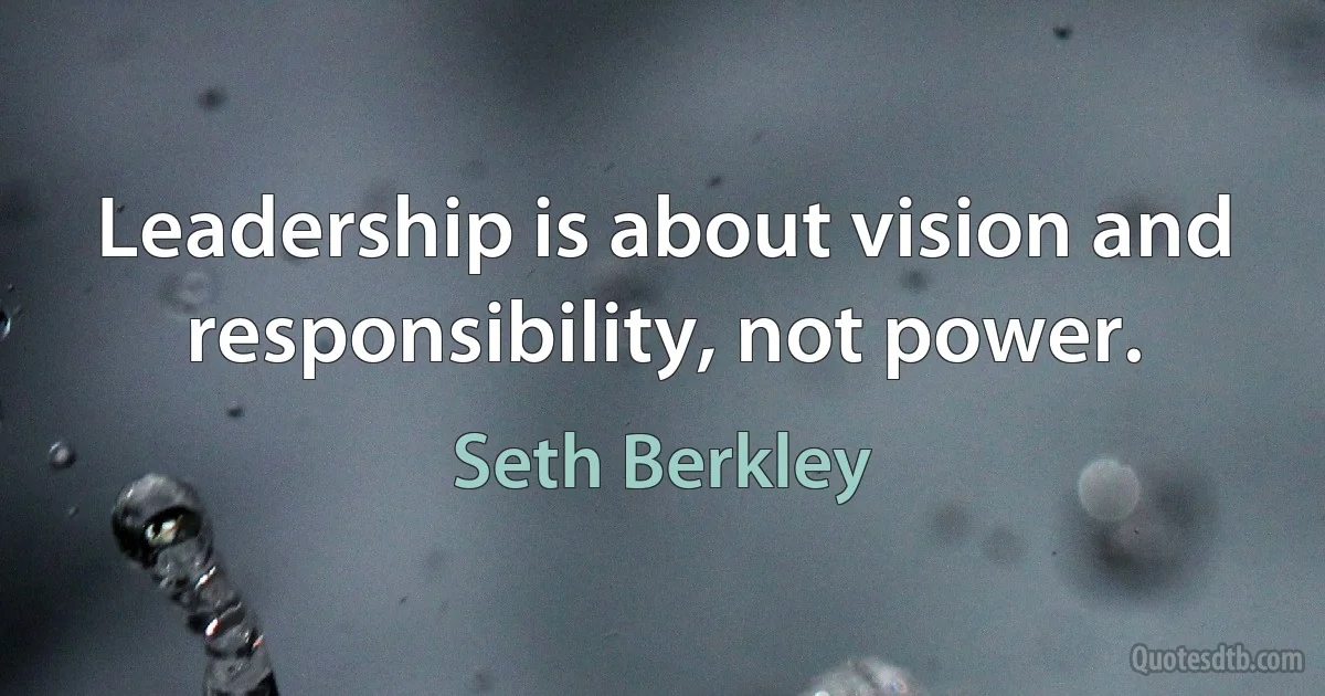 Leadership is about vision and responsibility, not power. (Seth Berkley)