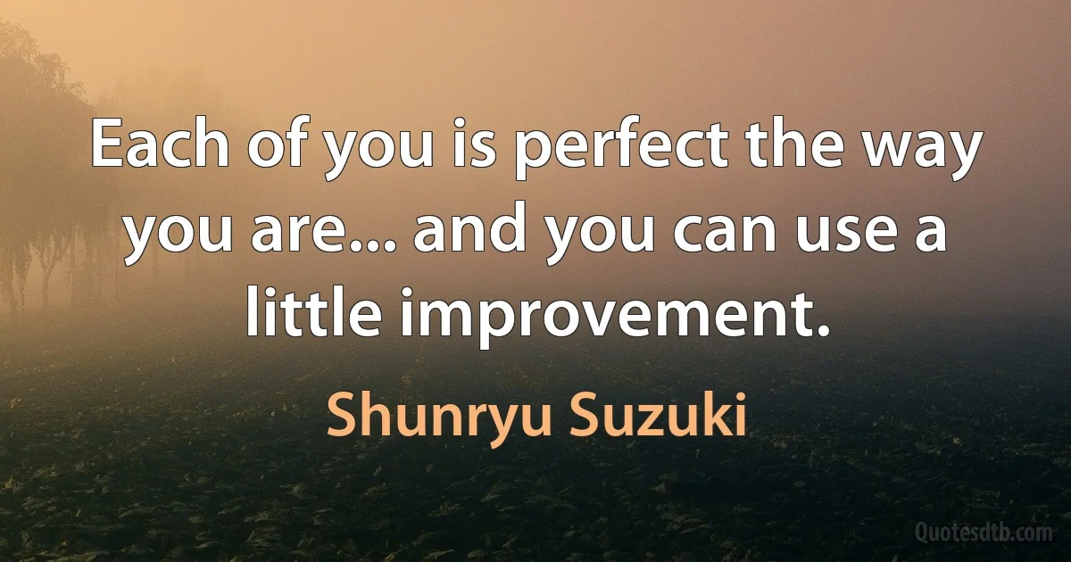 Each of you is perfect the way you are... and you can use a little improvement. (Shunryu Suzuki)