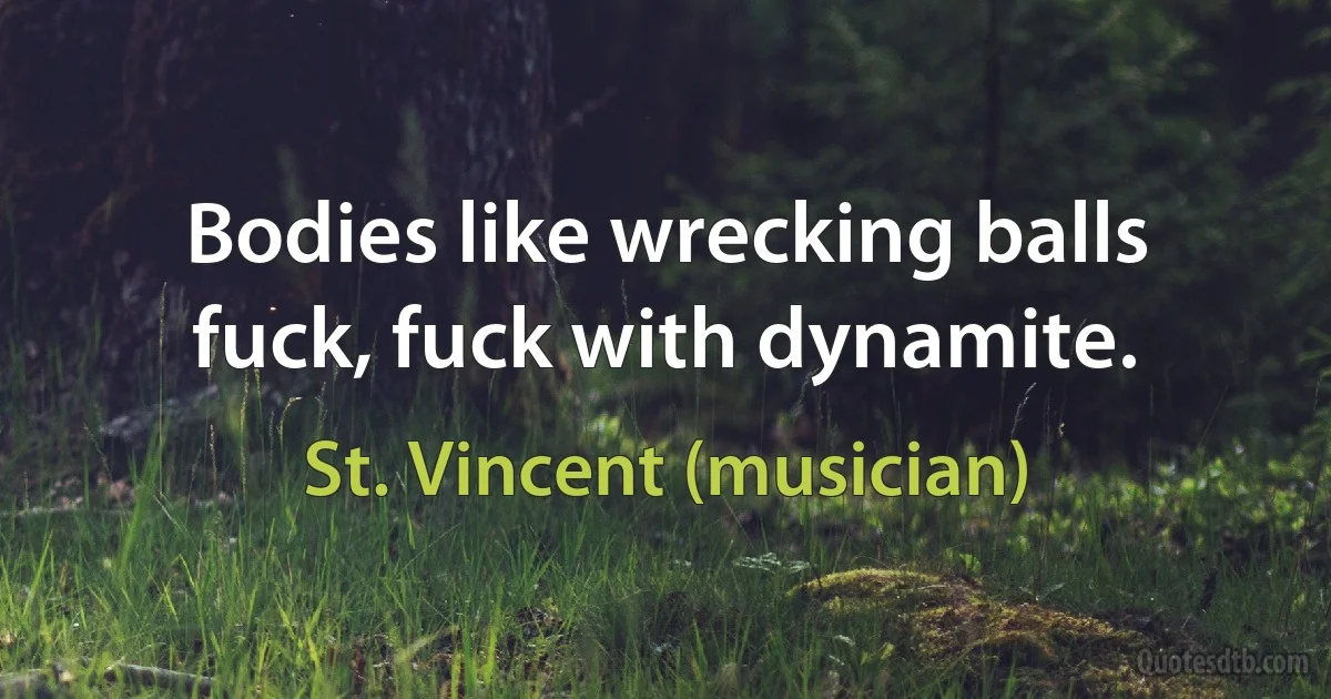 Bodies like wrecking balls fuck, fuck with dynamite. (St. Vincent (musician))