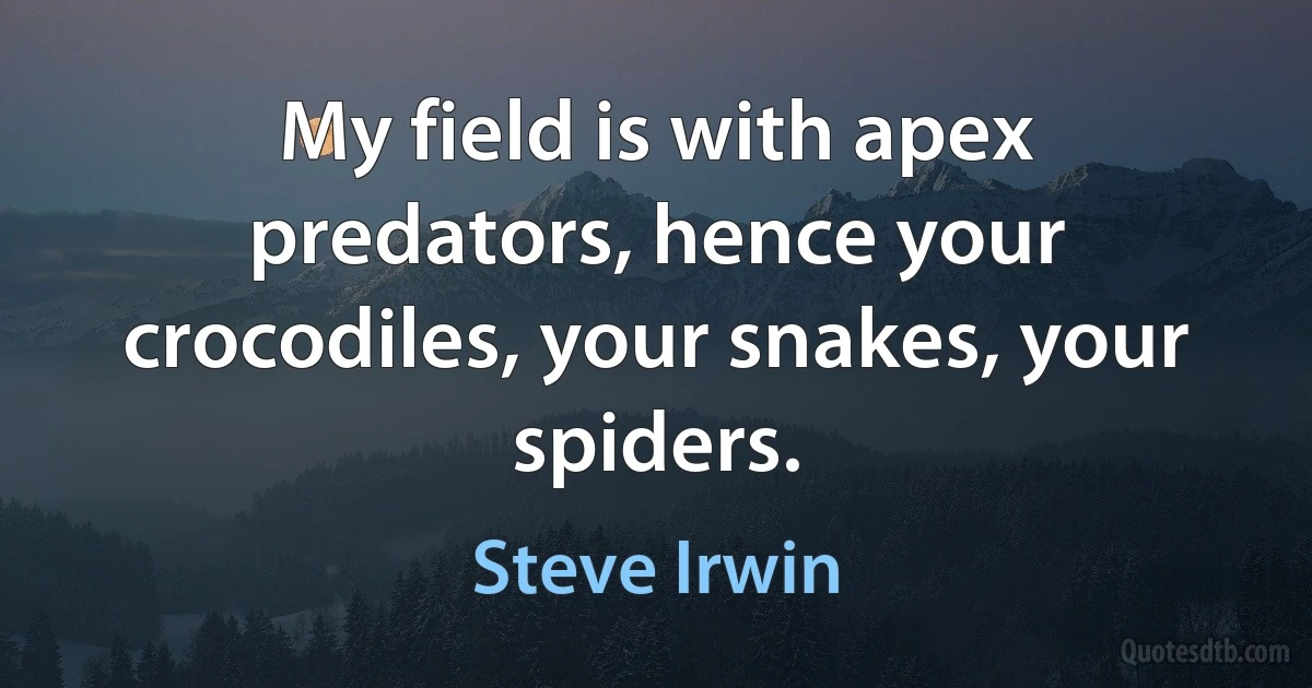 My field is with apex predators, hence your crocodiles, your snakes, your spiders. (Steve Irwin)