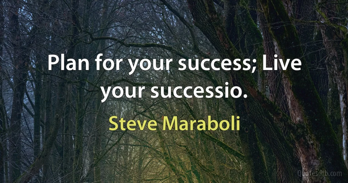 Plan for your success; Live your successio. (Steve Maraboli)