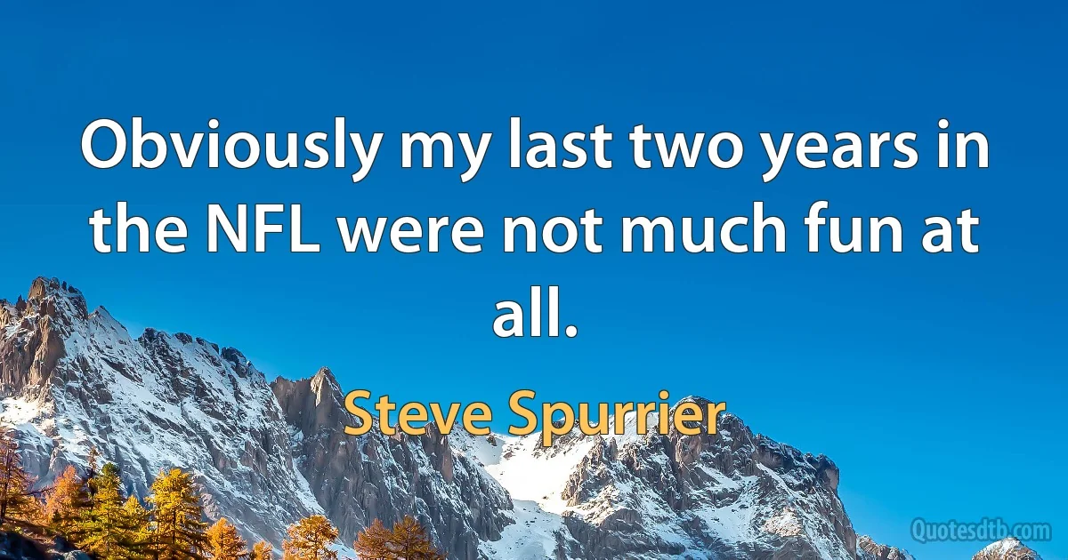 Obviously my last two years in the NFL were not much fun at all. (Steve Spurrier)