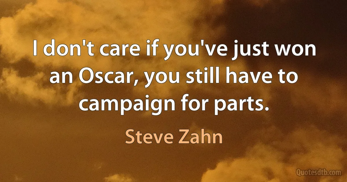 I don't care if you've just won an Oscar, you still have to campaign for parts. (Steve Zahn)