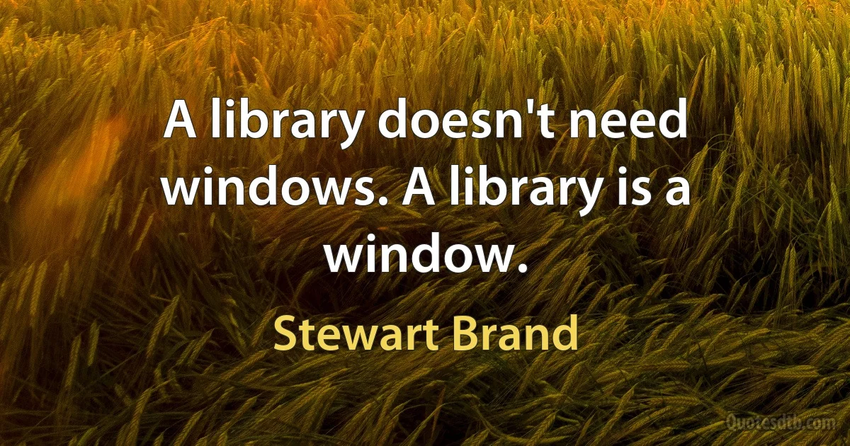 A library doesn't need windows. A library is a window. (Stewart Brand)