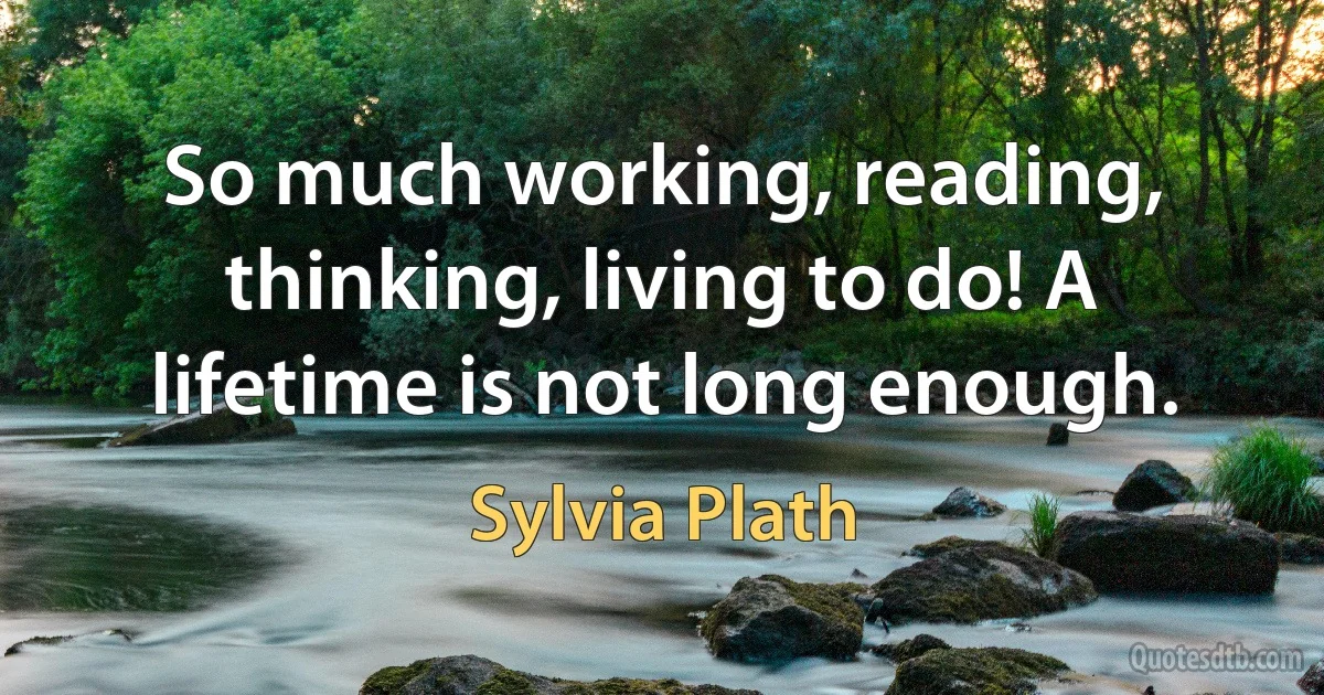 So much working, reading, thinking, living to do! A lifetime is not long enough. (Sylvia Plath)