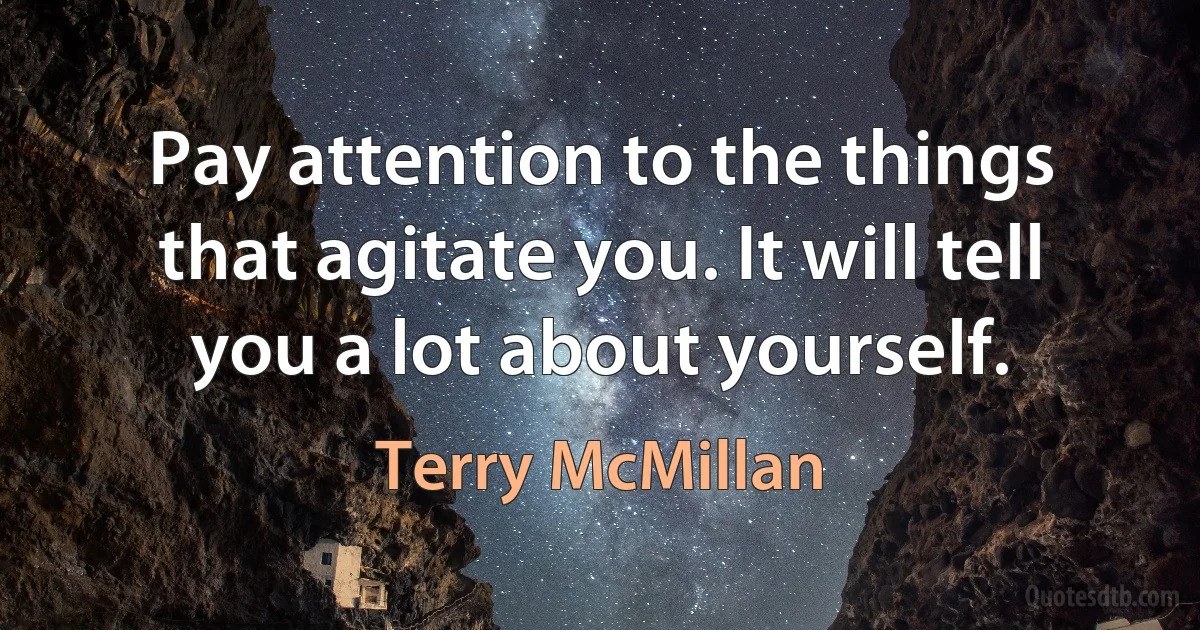 Pay attention to the things that agitate you. It will tell you a lot about yourself. (Terry McMillan)