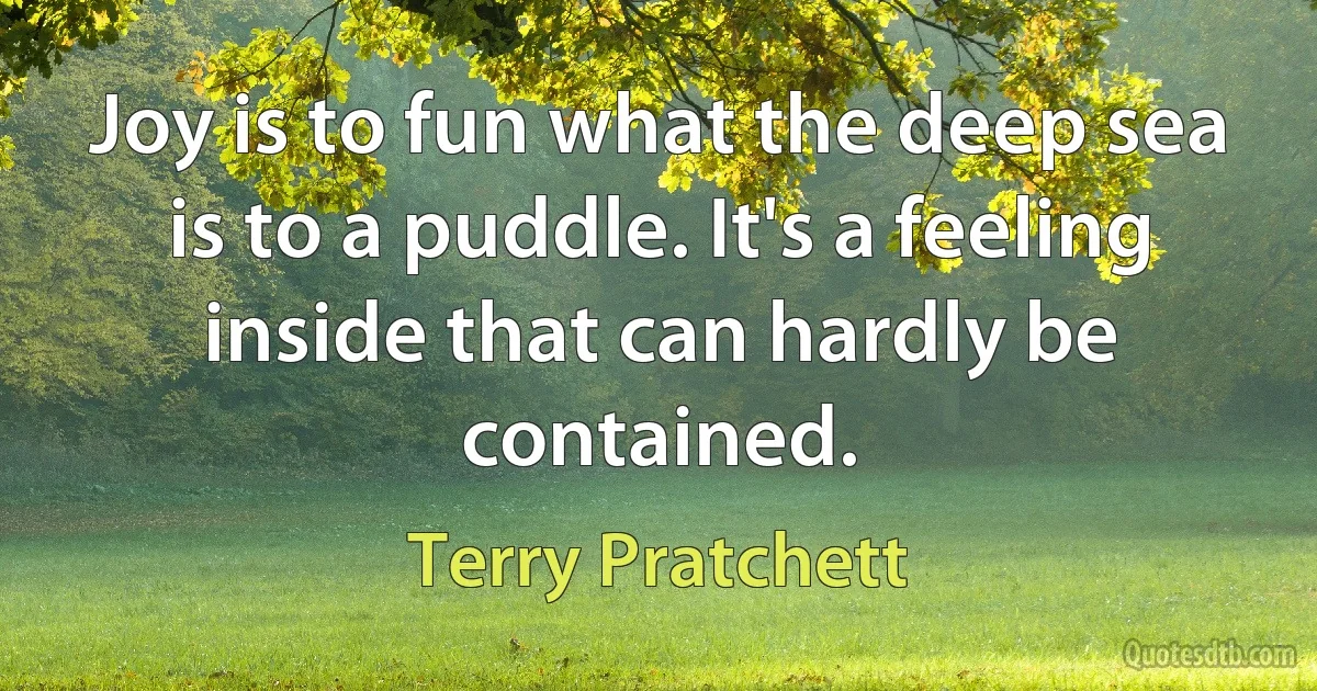 Joy is to fun what the deep sea is to a puddle. It's a feeling inside that can hardly be contained. (Terry Pratchett)