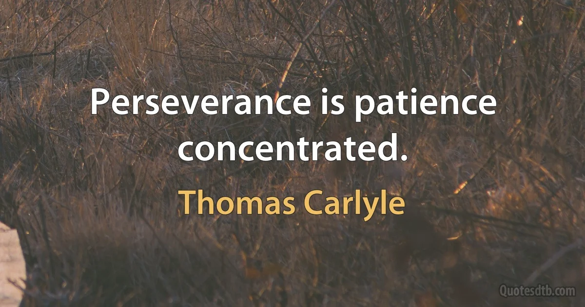 Perseverance is patience concentrated. (Thomas Carlyle)