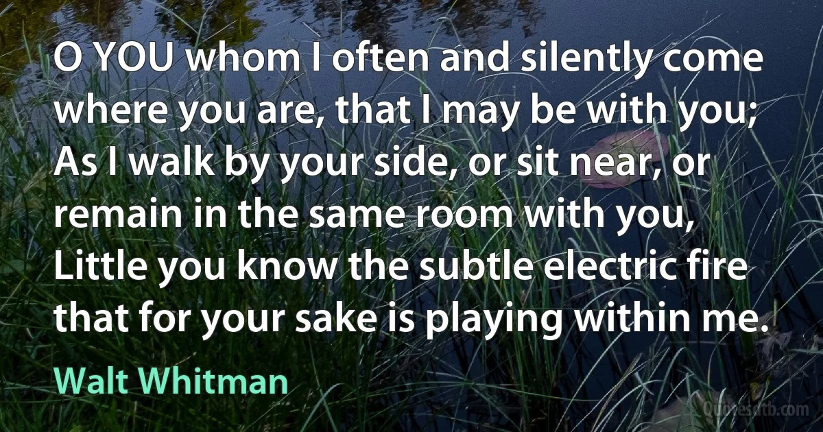 O YOU whom I often and silently come where you are, that I may be with you;
As I walk by your side, or sit near, or remain in the same room with you,
Little you know the subtle electric fire that for your sake is playing within me. (Walt Whitman)