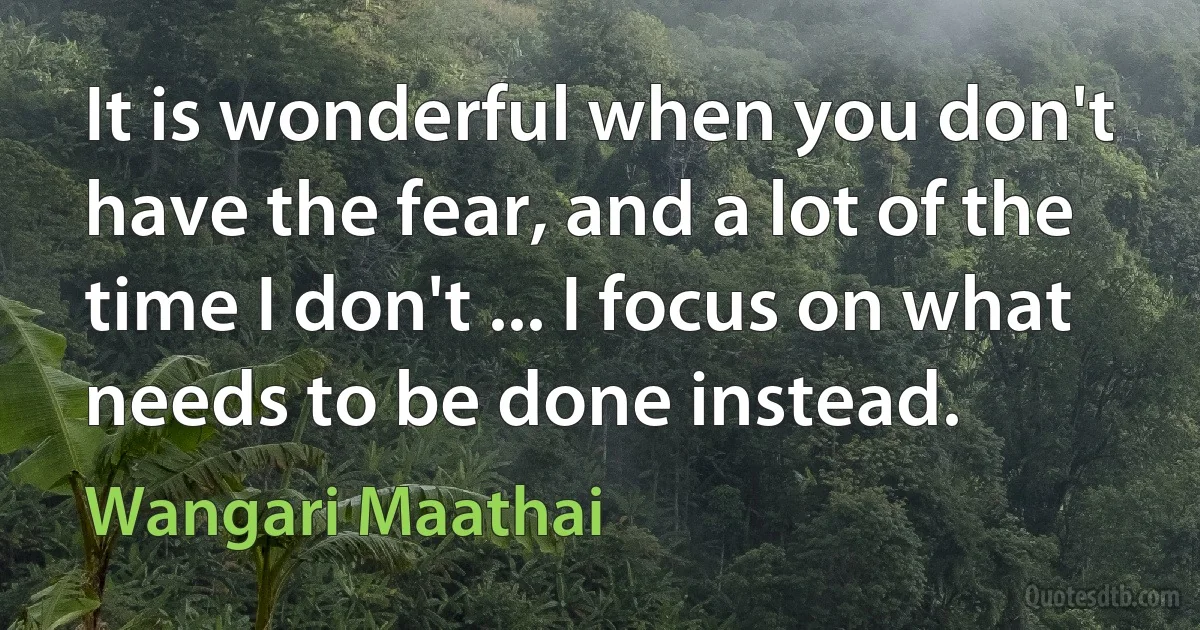 It is wonderful when you don't have the fear, and a lot of the time I don't ... I focus on what needs to be done instead. (Wangari Maathai)