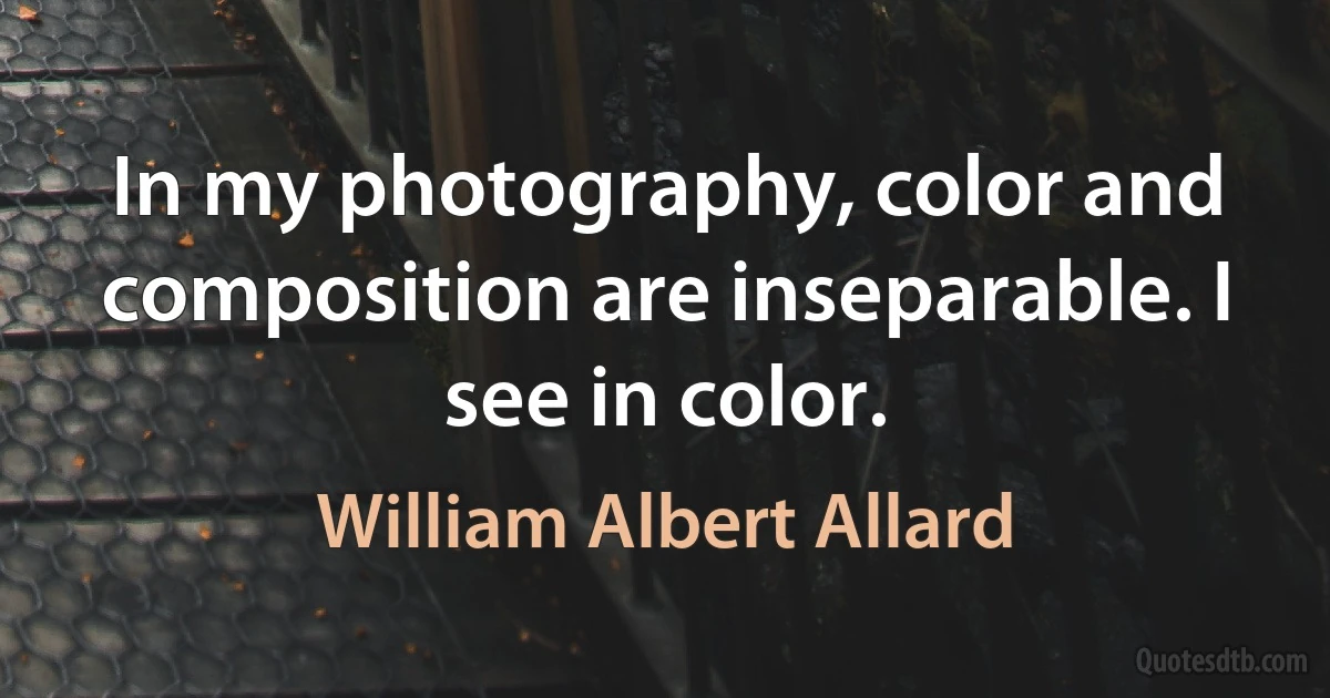 In my photography, color and composition are inseparable. I see in color. (William Albert Allard)