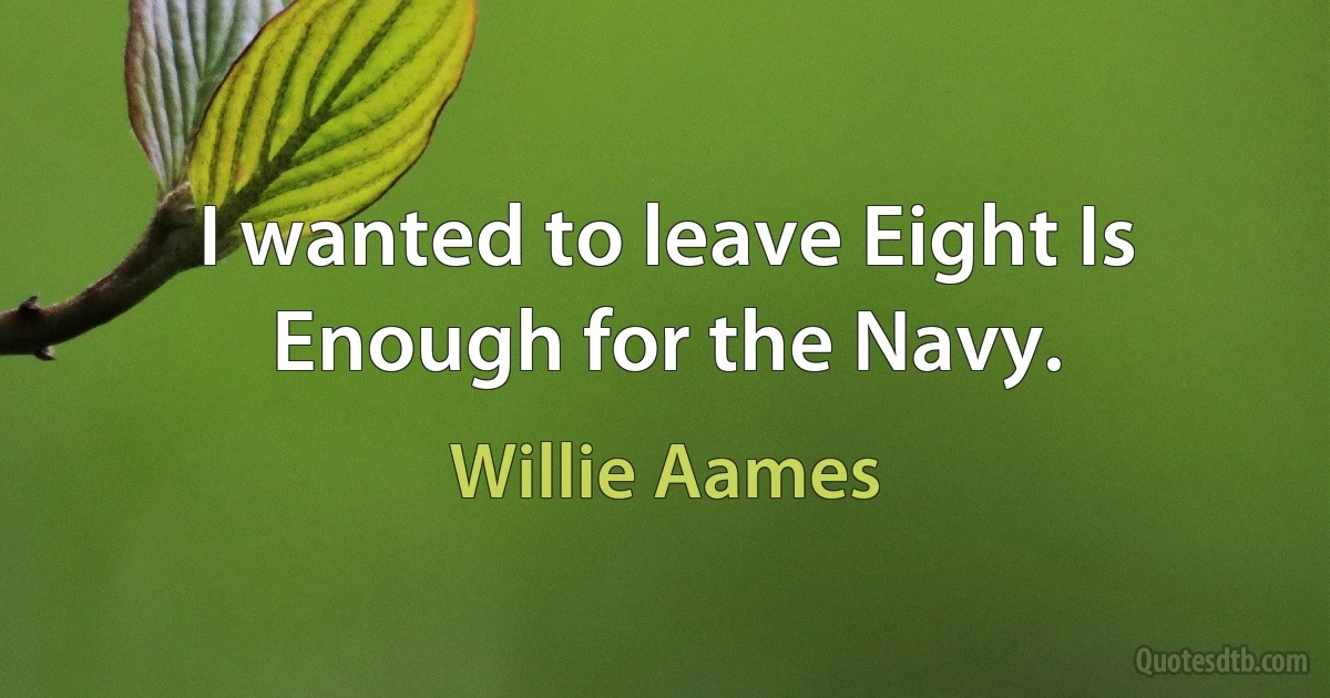 I wanted to leave Eight Is Enough for the Navy. (Willie Aames)