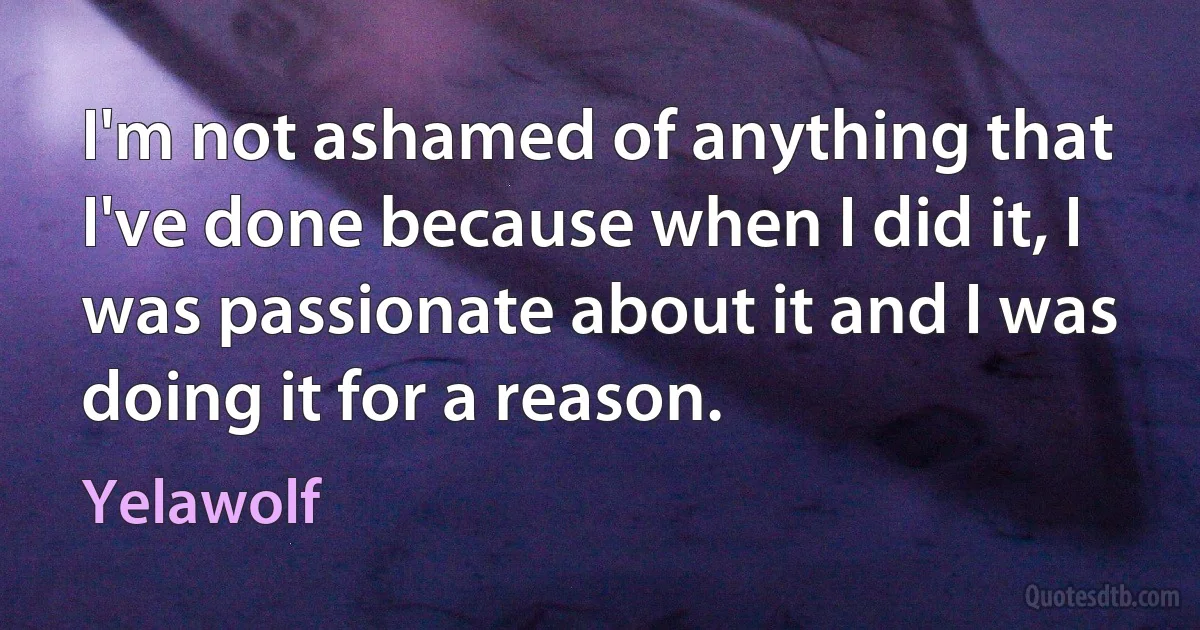 I'm not ashamed of anything that I've done because when I did it, I was passionate about it and I was doing it for a reason. (Yelawolf)